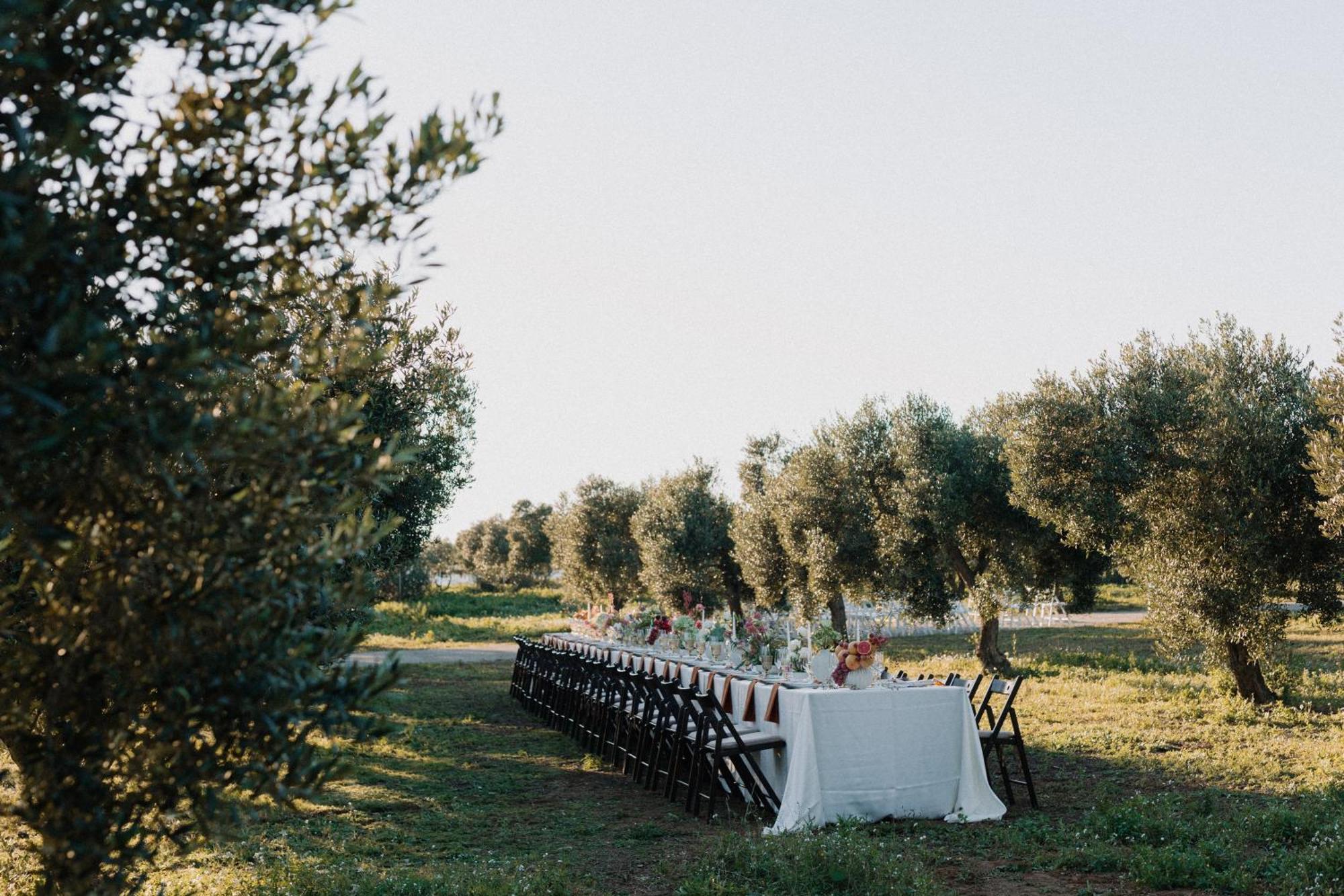 Finca La Concertista Llorenc del Penedes المظهر الخارجي الصورة