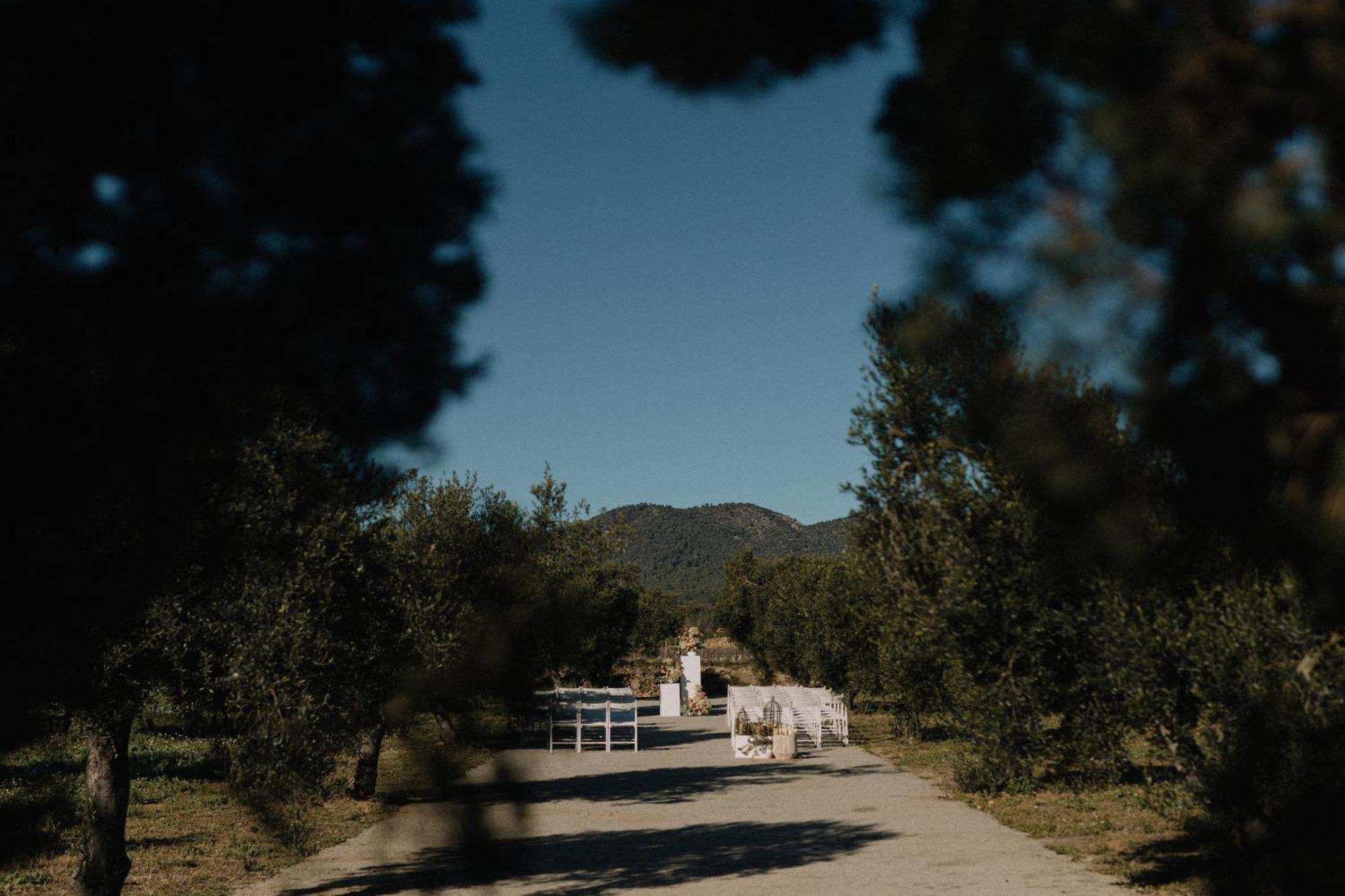 Finca La Concertista Llorenc del Penedes المظهر الخارجي الصورة