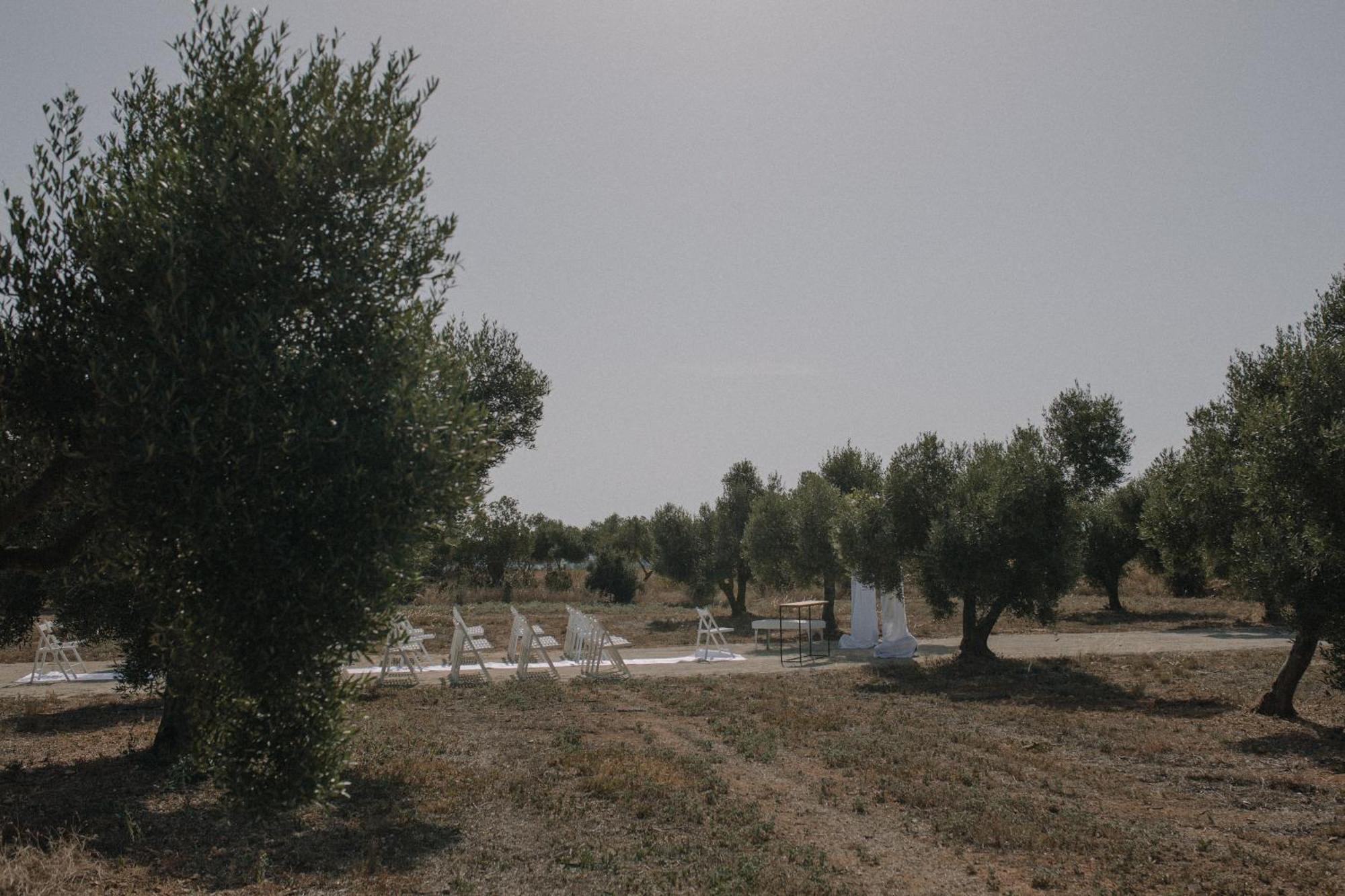 Finca La Concertista Llorenc del Penedes المظهر الخارجي الصورة